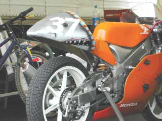 Un requin en libert !!!